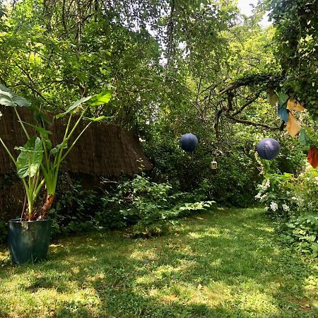 Les Glycines De Bougy住宿加早餐旅馆 外观 照片